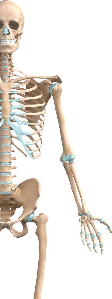 PLACA LCP DE RADIO DISTAL