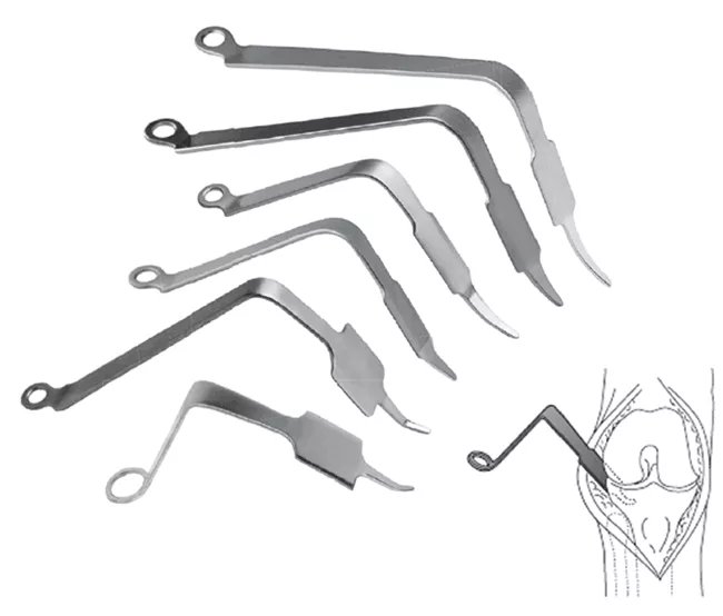 Retractor de gancho de acetábulo