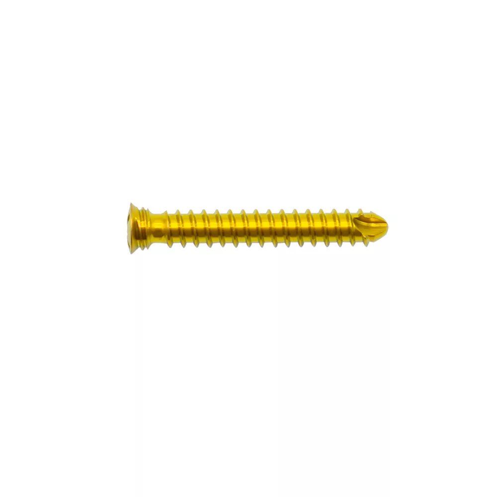 Tornillo de bloqueo de la placa costal (autorroscador)
